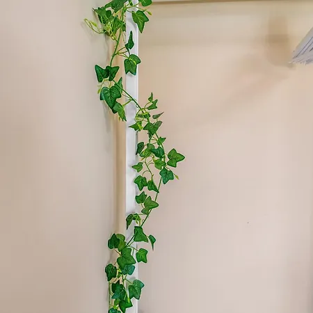 Linos House Homestay