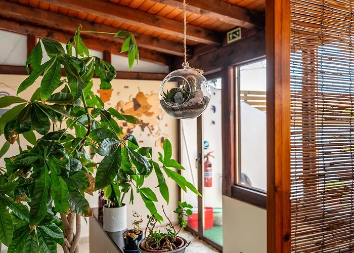 Linos House בית אירוח אנטוגויה דה באלייה
